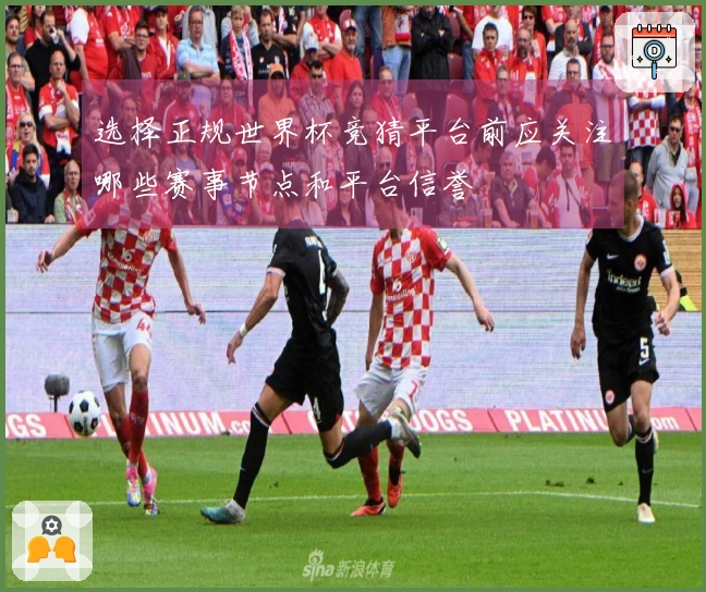 选择正规世界杯竞猜平台前应关注哪些赛事节点和平台信誉